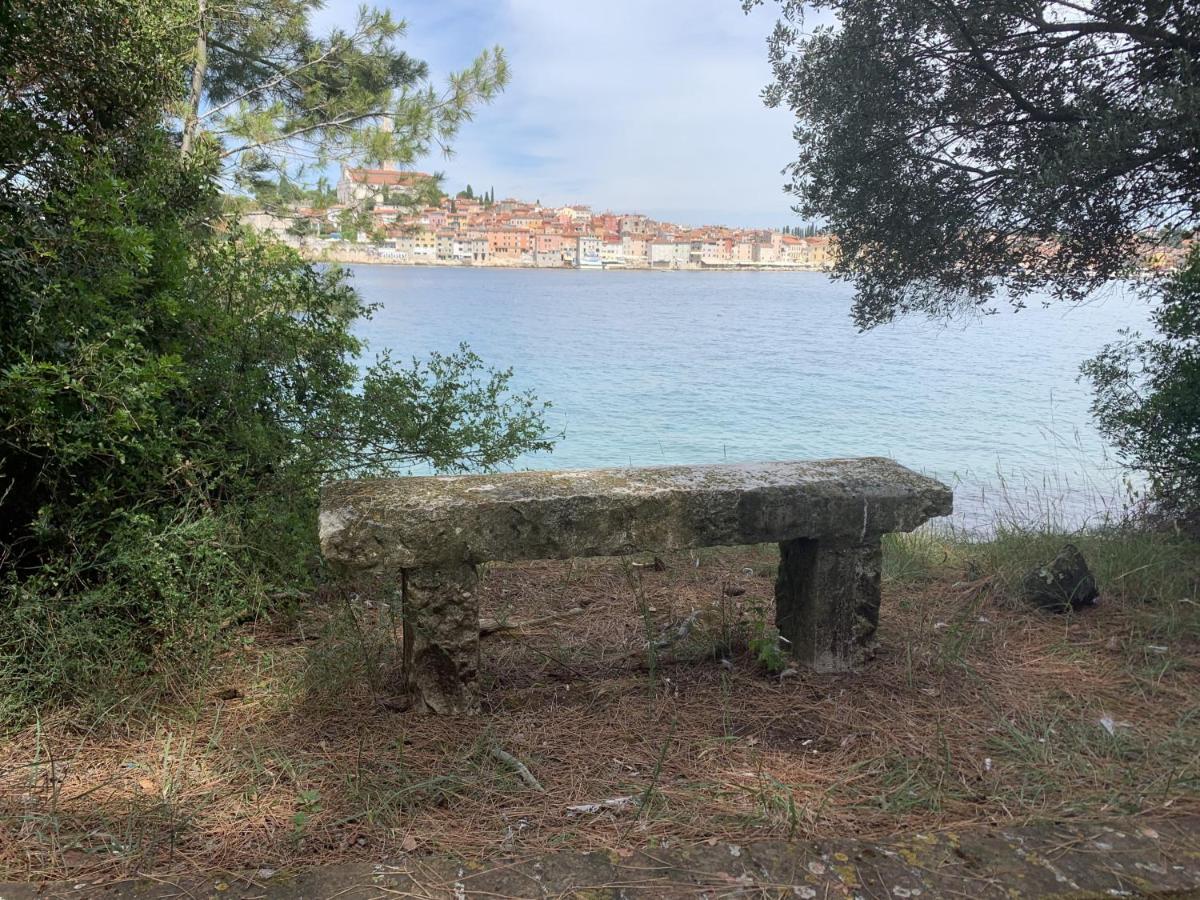 "Art House" Rovinj-Holiday, Holiday Home To Rent Ровиньско село Экстерьер фото